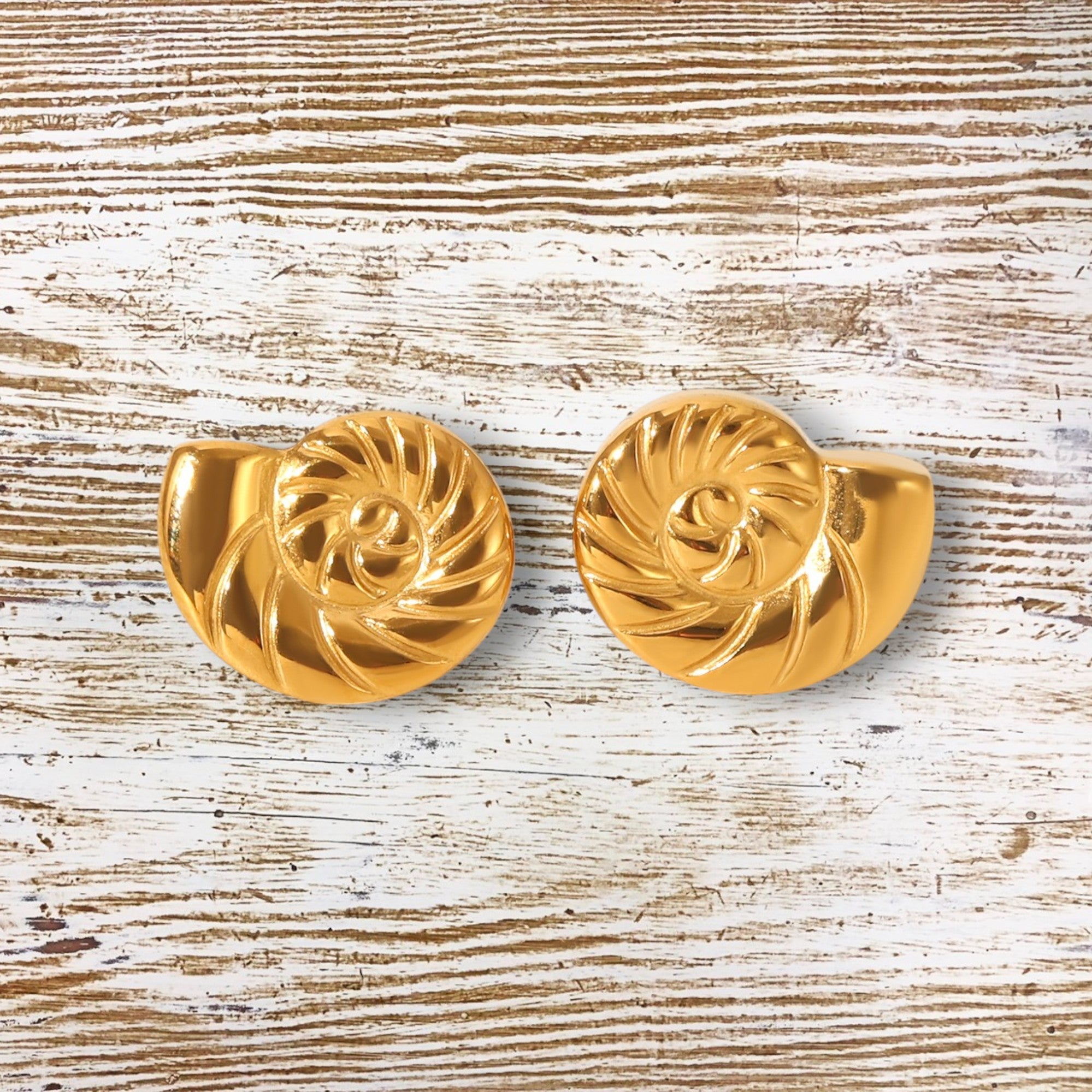 Abalone Earrings